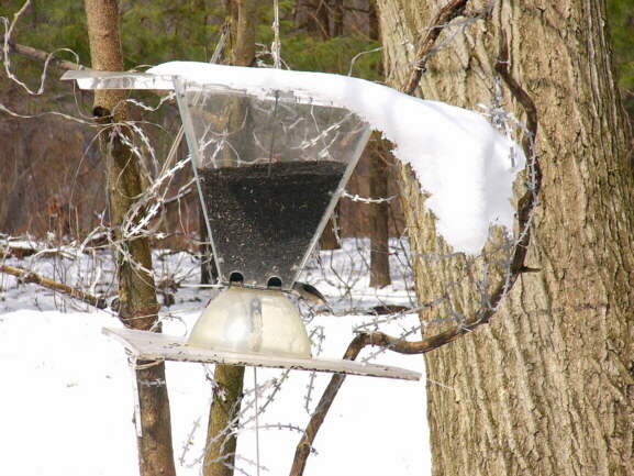 Main Feeder in wintertime
