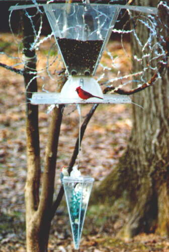 The main feeder