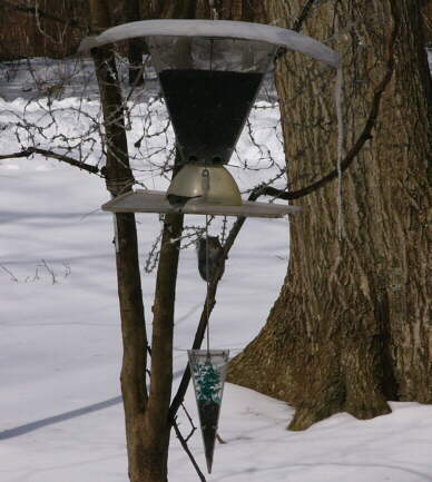 Main Feeder in wintertime