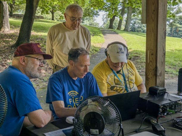 Quizzical Investigation